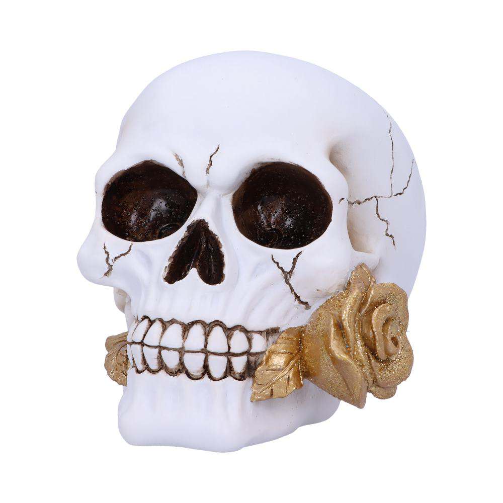 Skull Gothic Floral Fate Golden Rose nemesis now