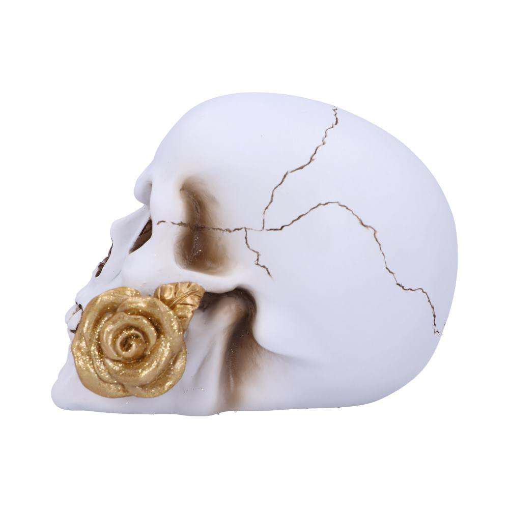 Skull Gothic Floral Fate Golden Rose nemesis now