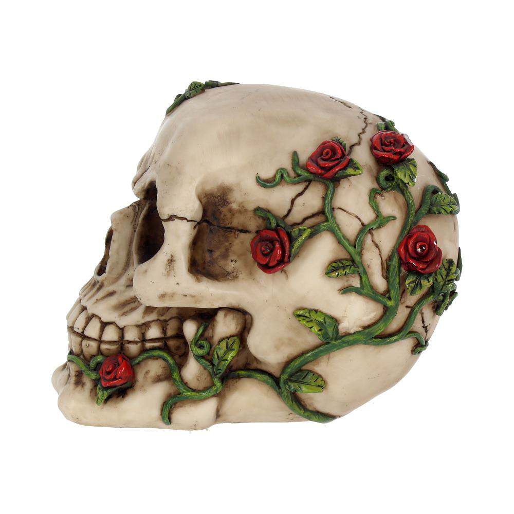 Skull Gothic Rose från Beyond – En unik dekoration nemesis now