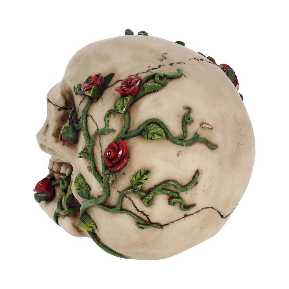 Skull Gothic Rose från Beyond – En unik dekoration - Robotto
