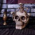 Skull Gothic Breaking Free Skelet Figur nemesis now