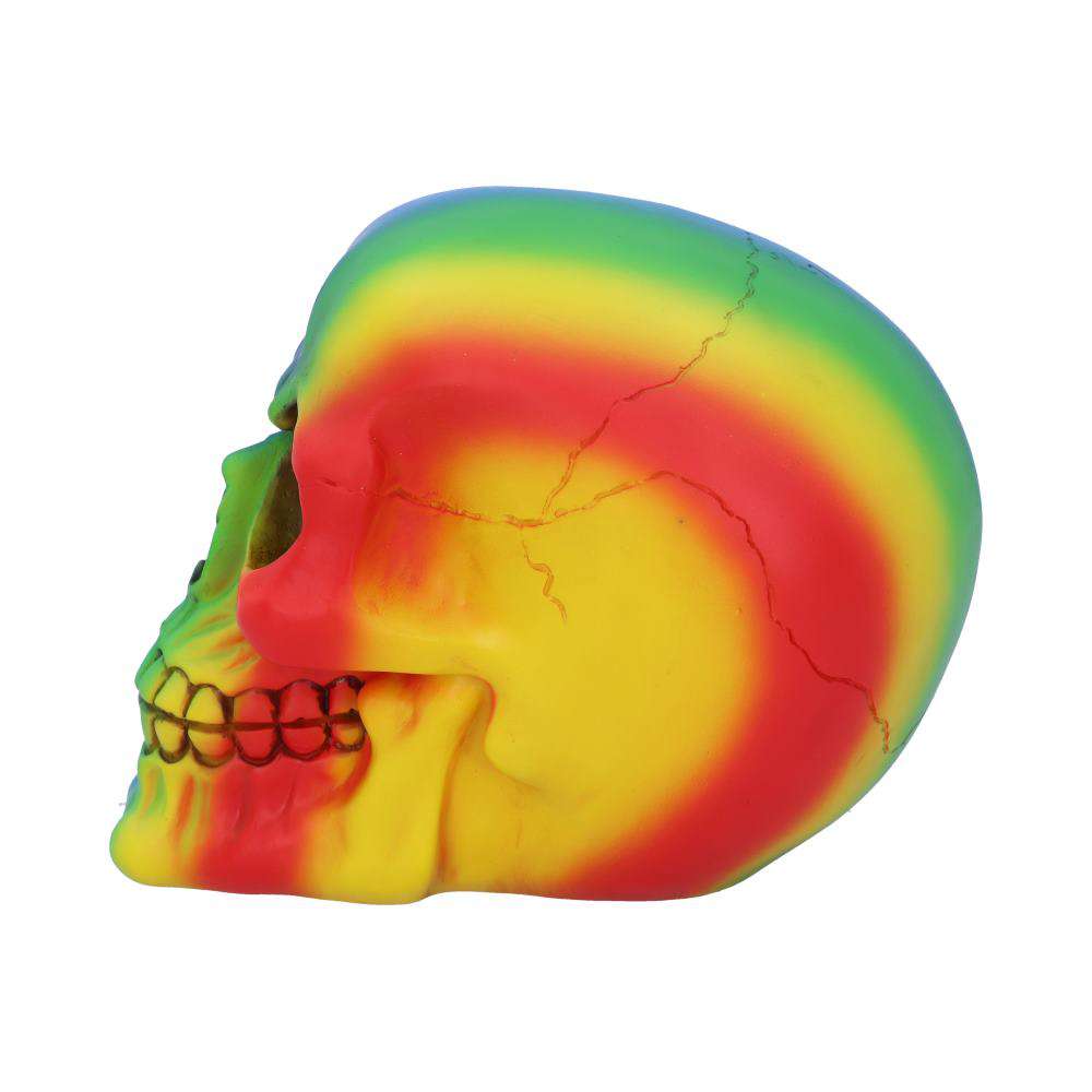 Skull Ornament Rainbow – Färgglad Dödskalle Dekoration nemesis now