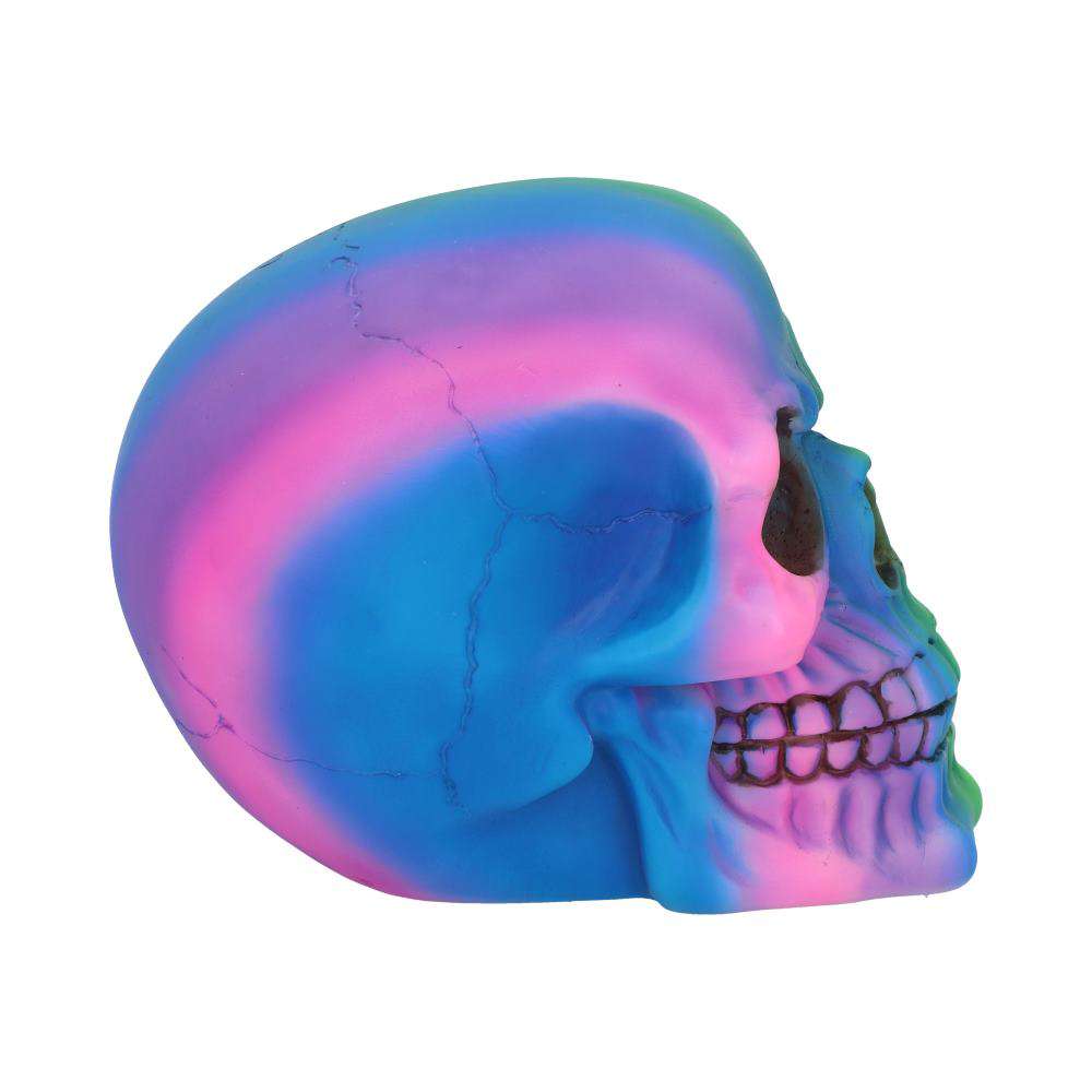 Skull Ornament Rainbow – Färgglad Dödskalle Dekoration nemesis now