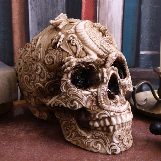 Skull ornament cranial drakos