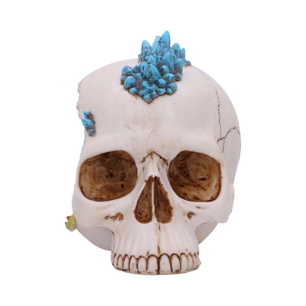 Skull Crystal Cave Blue Dragon – Eleganta Resin Skallar nemesis now