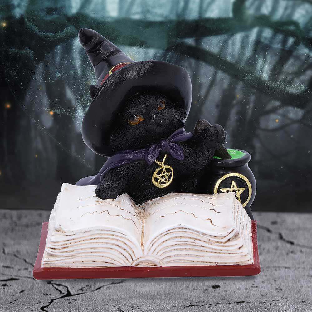 Svart katt - Familiar's Brew Ornament nemesis now