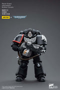 WH40K Raven Guard Intercessor Bro Colvane Figurer joytoy