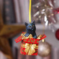 Present Cat Hanging Ornament nemesis now