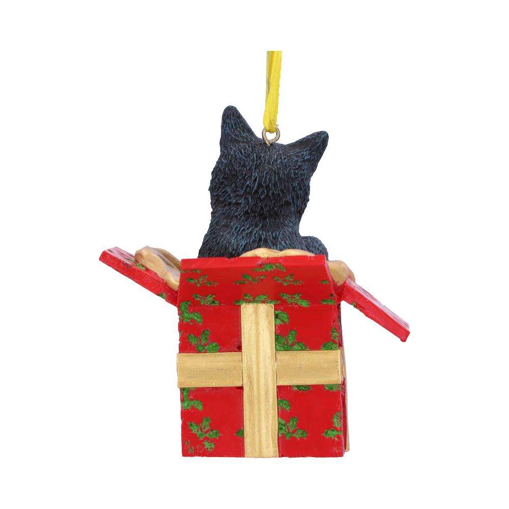 Present Cat Hanging Ornament nemesis now
