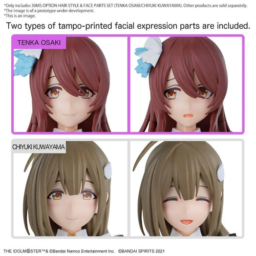 30ms Option Hair Style & Face Parts Set - Tenka Osaki/Chiyuki Kuwayama - Robotto