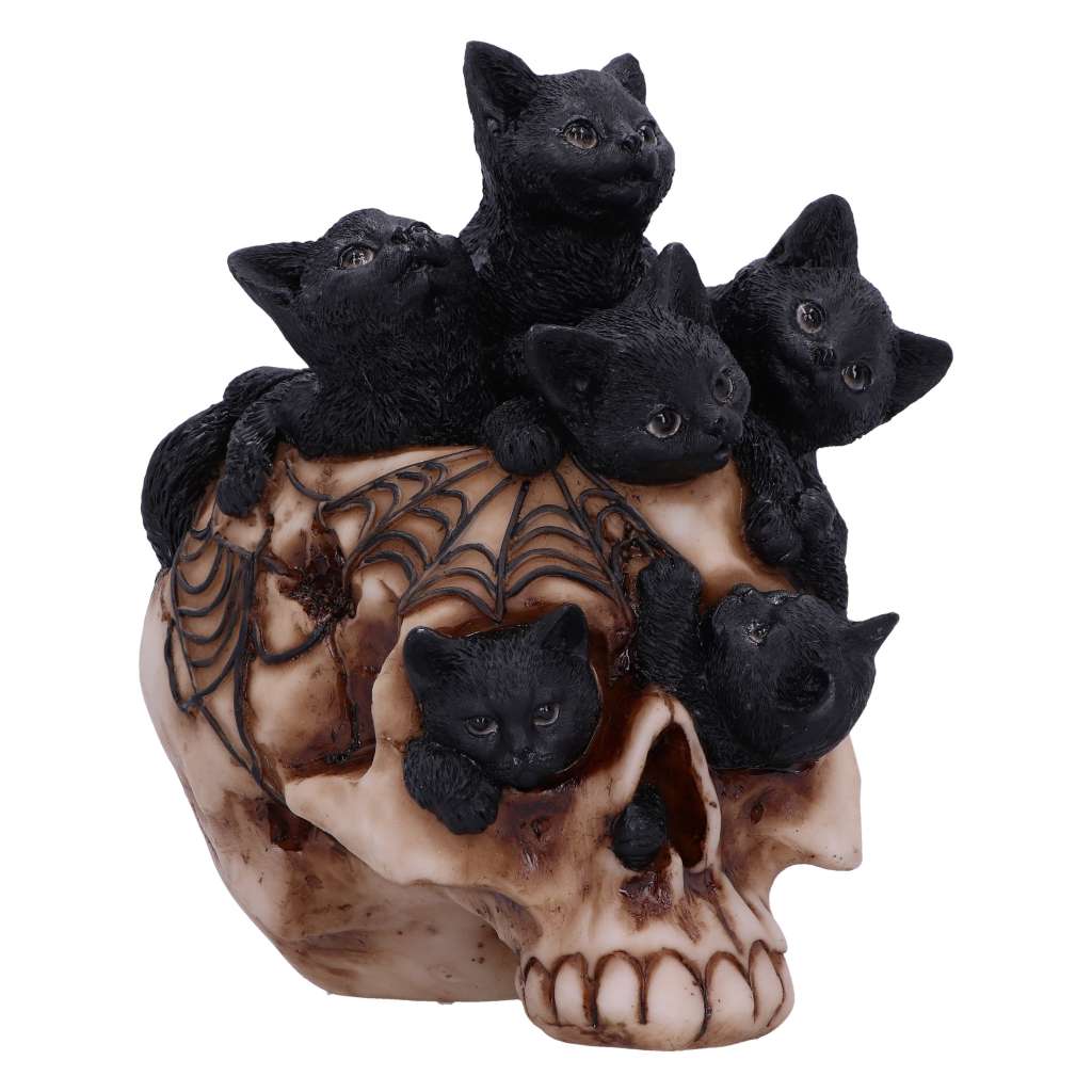 Skull Cranial Litter - Gothic Resin Decoration nemesis now