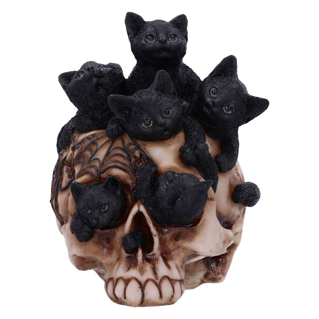 Skull Cranial Litter - Gothic Resin Decoration nemesis now