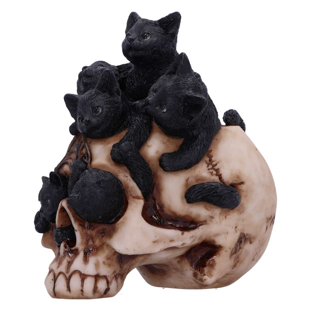 Skull Cranial Litter - Gothic Resin Decoration nemesis now