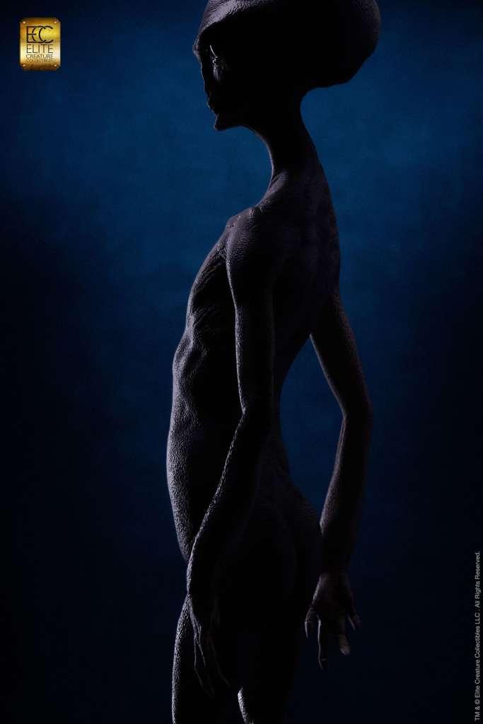 Reptilian Grey Maquette av Steve Wang - En Mästerlig Skulptur - Robotto