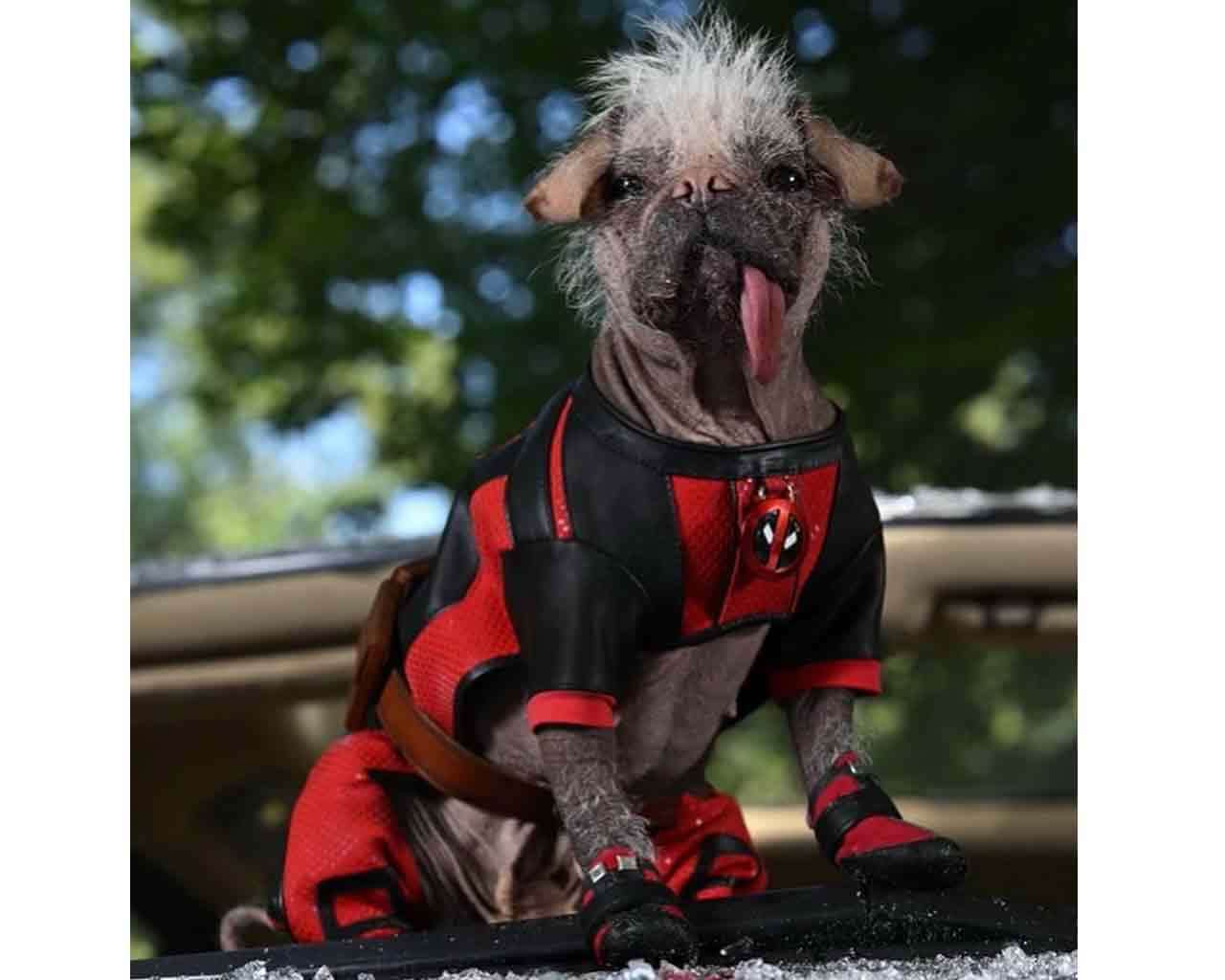 Deadpool & Wolverine: Dogpool Plush 25 cm simba