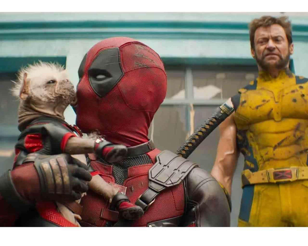 Deadpool & Wolverine: Dogpool Plush 25 cm - Robotto