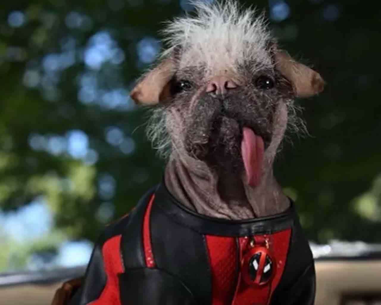 Deadpool & Wolverine: Dogpool Plush 25 cm simba