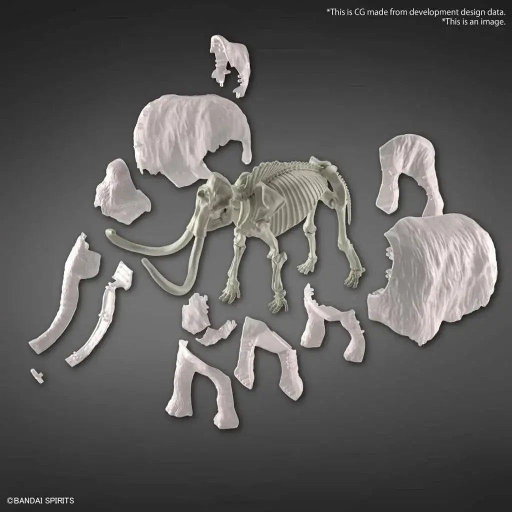 Vit plastmodell av mammutskelett med ledade lemmar och betar från Exploring Lab Nature Mammoth