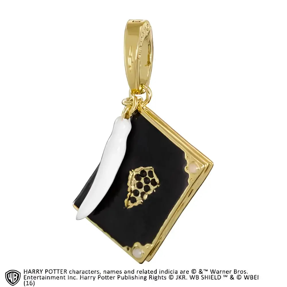 Guldtonad Harry Potter Lumos charm med Tom Riddles svarta dagbok
