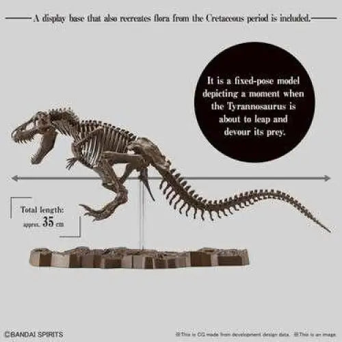 Detaljerad brungrå T-rex skelettmodell 1/32 på stenbas