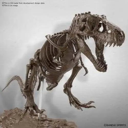 Modell av Tyrannosaurus rex-skelett, 1/32 skala, detaljerad pose
