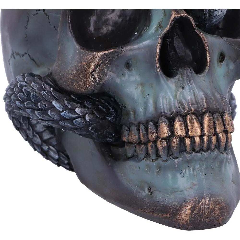 Detaljerad mörkgrå och bronsfärgad dödskalle med orm runt käken, Serpentine Fate Gothic Snake Skull