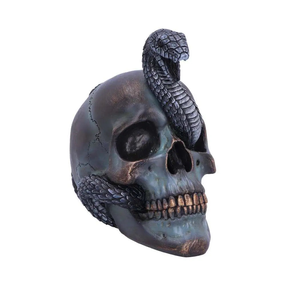 Mörkgrå och bronsfärgad dödskalle med orm runt huvudet, Serpentine Fate Gothic