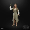 Detaljerad Star Wars Black Series-figur av prinsessan Leia i Ewok Village