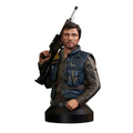 Detaljerad resinbyst av Cassian Andor från Star Wars Rogue One, 1/6-skala