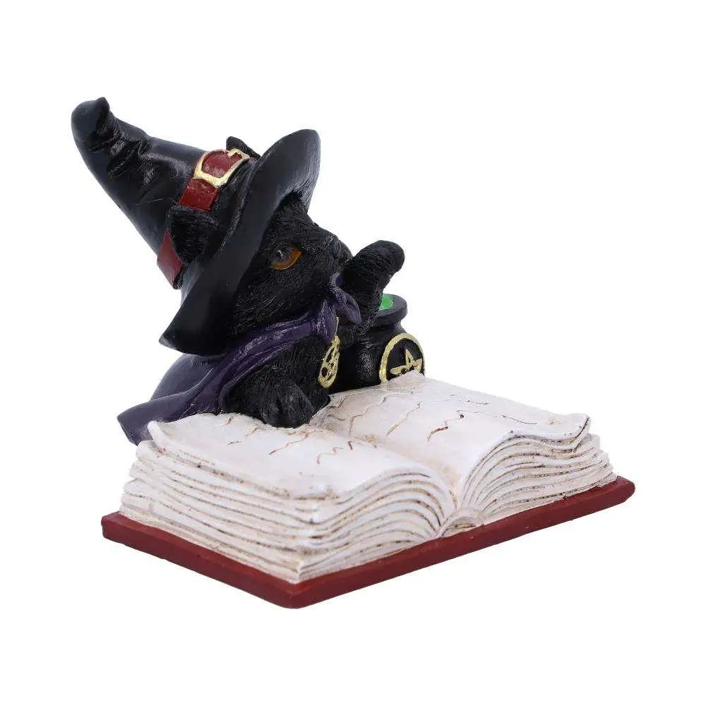 Svart katt - Familiar's Brew Ornament - Robotto