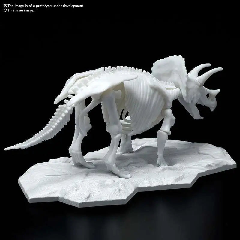 Vit Triceratops Limex Skelett Modell med detaljerad vit plastskelett