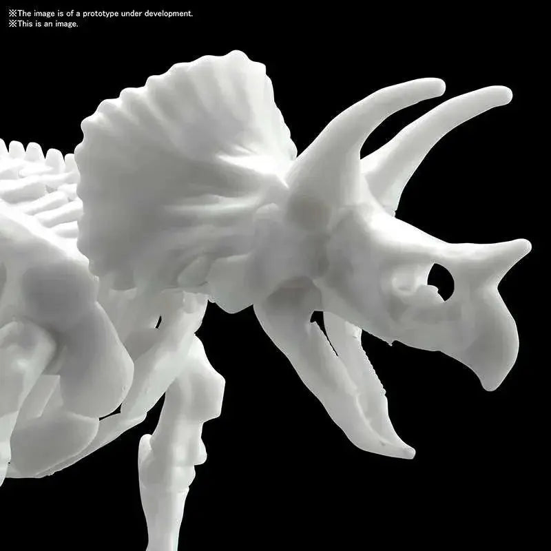 Vit Triceratops Limex skelettmodell i vit plast