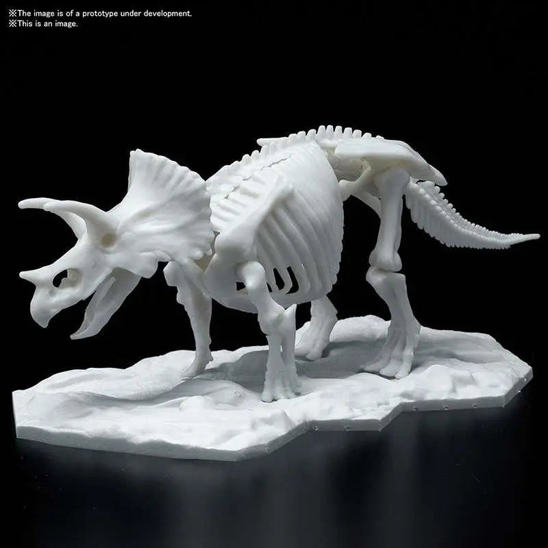Vitt plast Triceratops Limex skelettmodell på texturerad bas